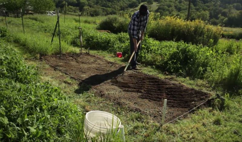 DIY Astuces Manuelles Pour Fertiliser Le Sol De Son Jardin