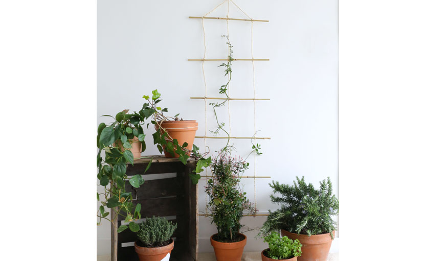 DIY - Fabriquer un tuteur treillis pour vos plantes grimpantes 