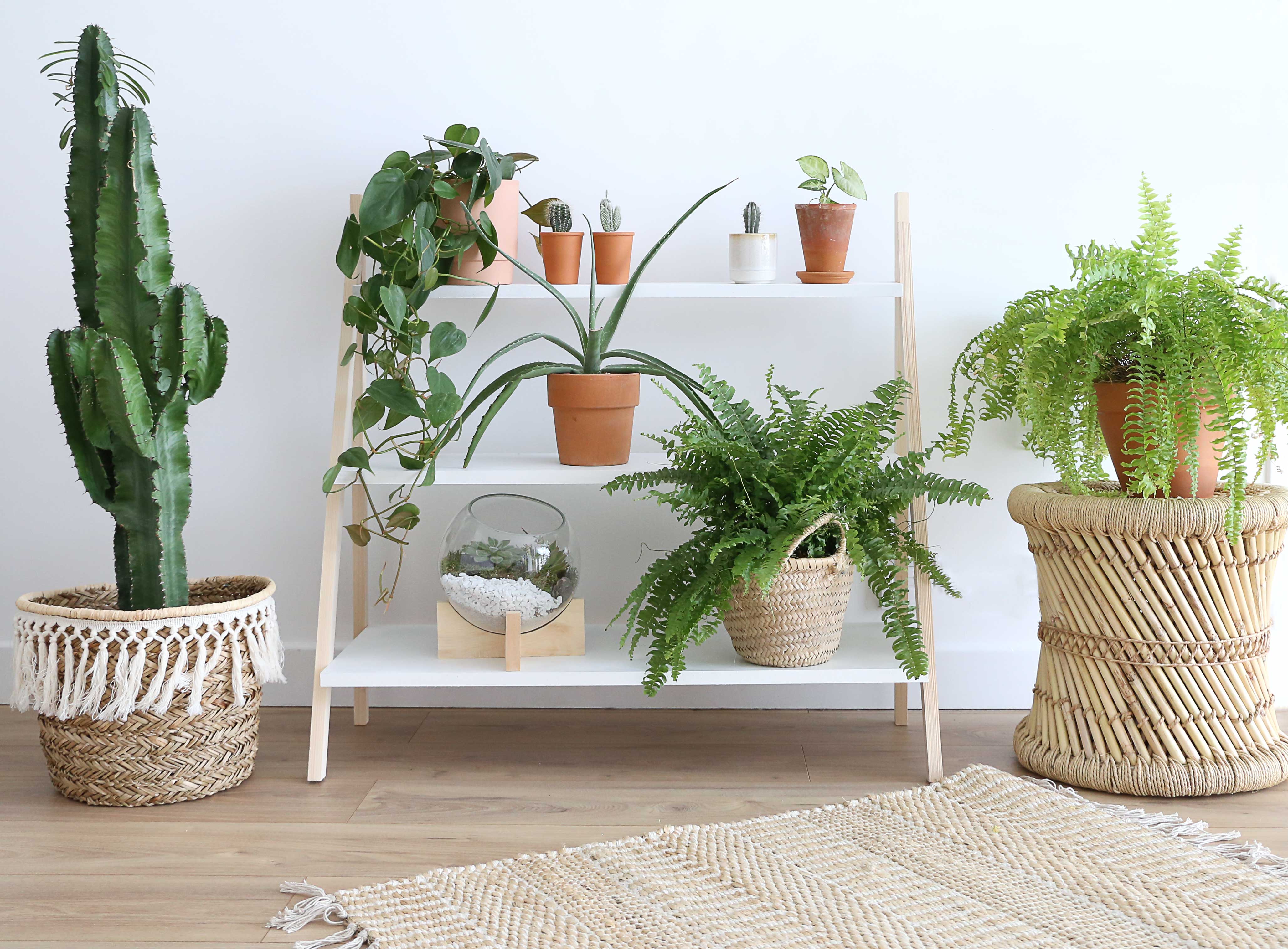 DIY : Fabriquez un meuble en bois avec des étagères pour vos plantes