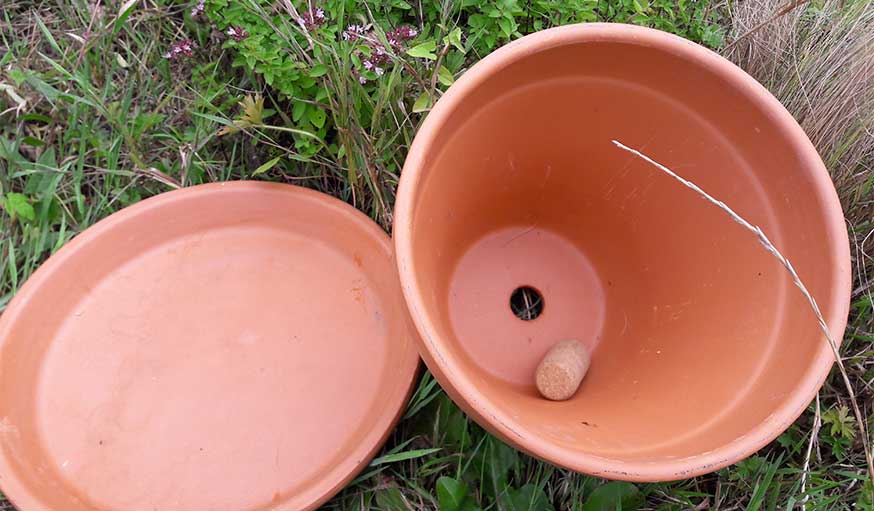 Oyas réservoirs d'eau en terre cuite à planter