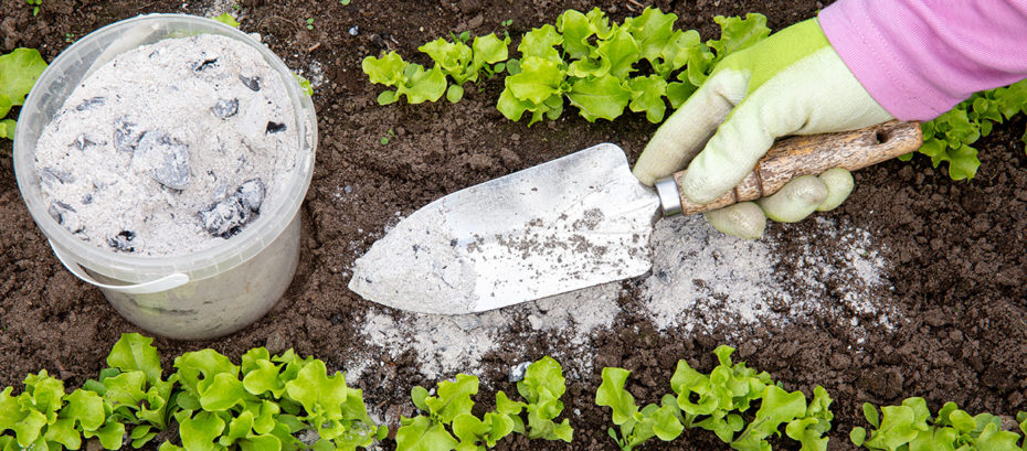 Jardin ménage compost tout ce que vous pouvez faire avec de la