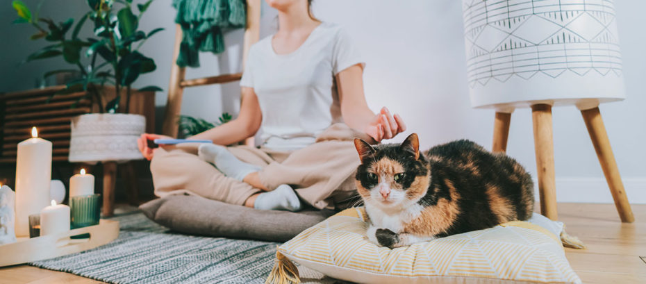 Yoga et méditation comment se créer un espace dédié chez soi