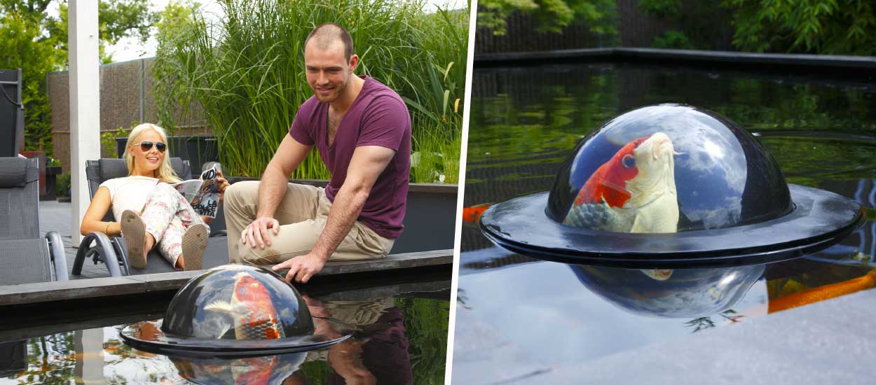 Idée originale pour votre bassin à poissons : des dômes flottants !
