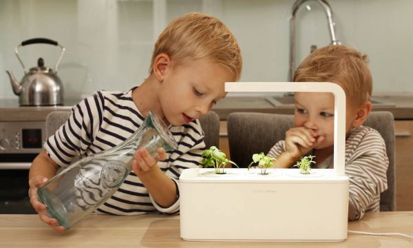 Un potager connecté pour cultiver toute l'année dans sa cuisine