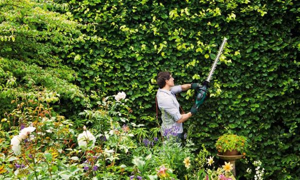 Comment prendre soin de son jardin à la rentrée ?