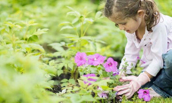 7 conseils pour créer un coin de jardin pour votre enfant