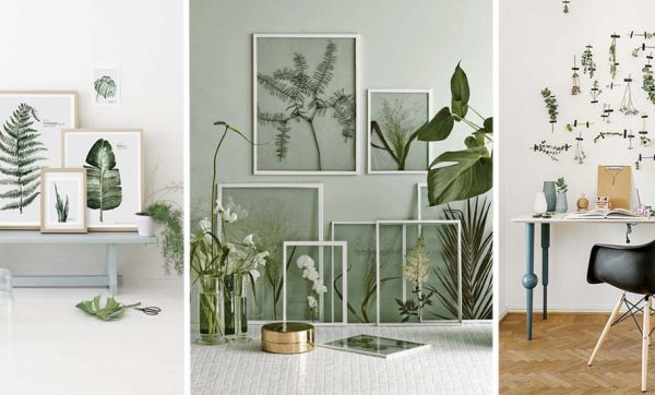 Tendance déco : l'herbier fait son grand retour, mais cette fois-ci sur les murs !