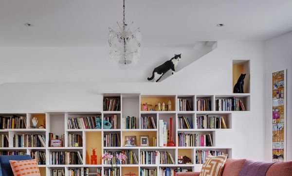 Cette maison est un paradis pour les amoureux de livres et de chats !