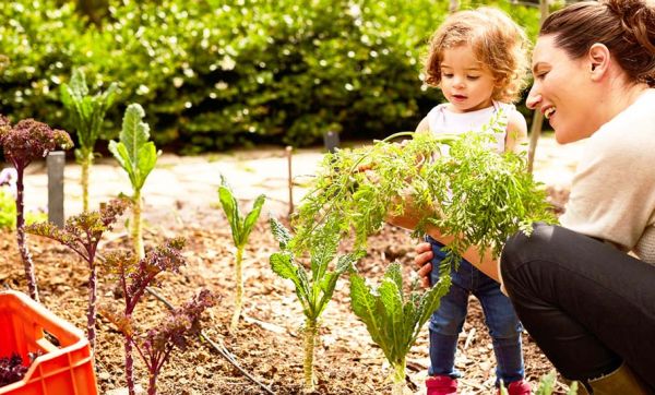 9 astuces écolos pour cultiver votre potager sans glyphosate et autres pesticides