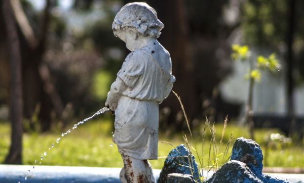 “L'urine est le meilleur engrais qui soit”