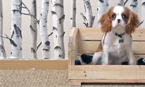 Tuto : Fabriquez un petit panier pour chien en palette pour moins de 10 euros