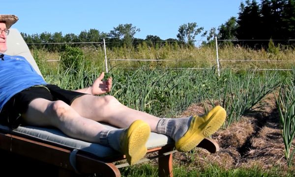 Un potager bio et abondant sans quitter votre transat : découvrez les merveilles du potager du paresseux