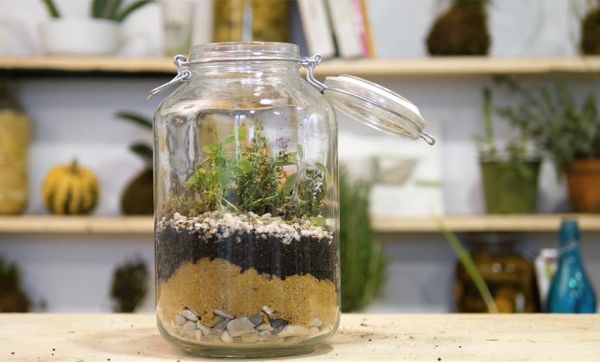 Tuto : Fabriquez un terrarium pour vos aromates !