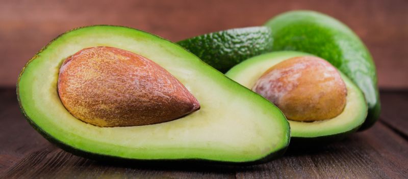 Comment Faire Pousser Un Avocat Chez Soi Cultiver Un Avocatier En Pot