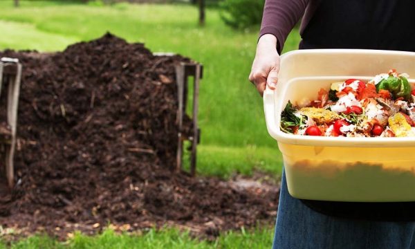 Entretenez facilement votre pile de compost grâce à ces conseils de pros