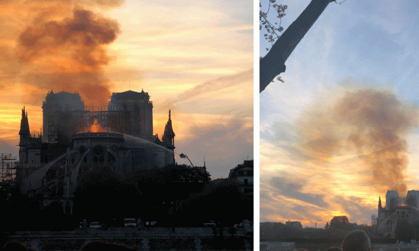 Voici comment vous pouvez contribuer à la reconstruction de Notre-Dame de Paris