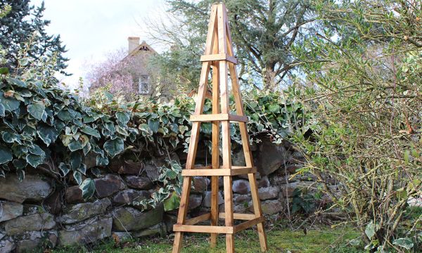 Comment fabriquer un treillis en bois pour vos plantes grimpantes ?