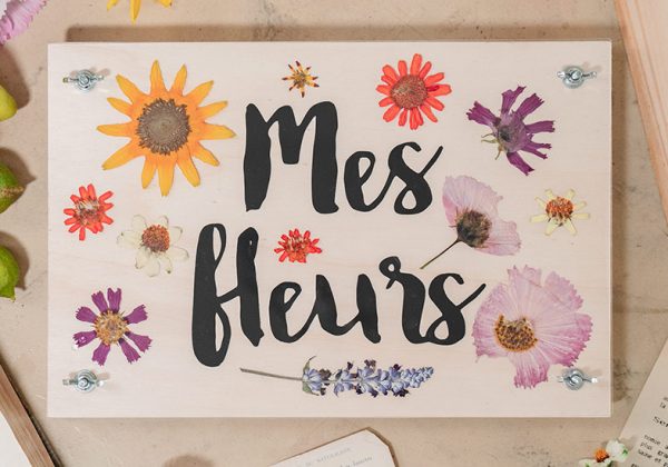 Tutoriel Pour Réaliser Une Presse à Fleurs Pour Faire