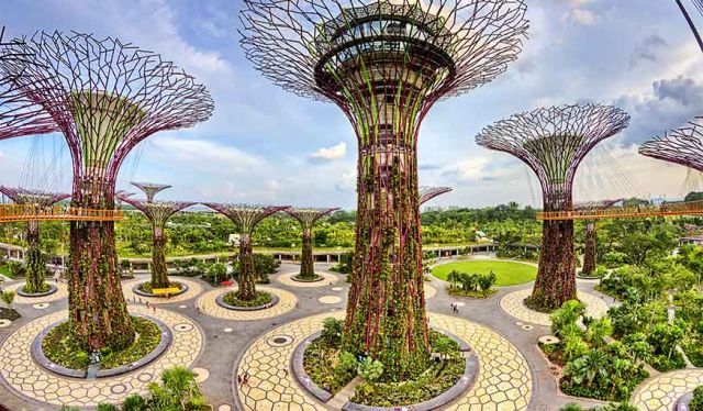 Gardens By The Bay Visite En Photos Des Extraordinaires Jardins De