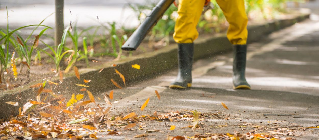 À Amiens, les feuilles mortes chauffent plus de 4000 foyers chaque année