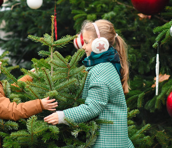 À quel moment acheter un sapin de Noël pour qu'il soit beau jusqu'à la fin des fêtes ?