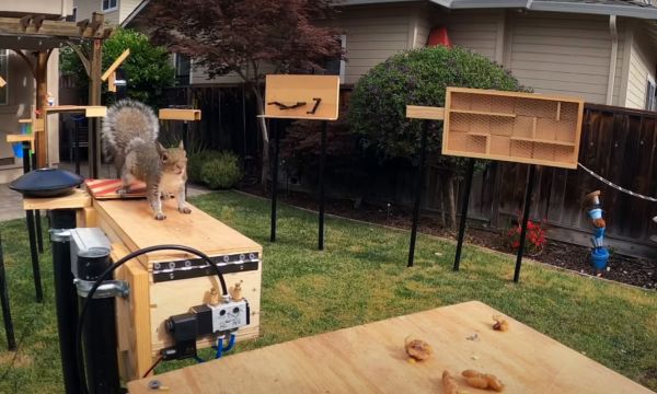 Il fabrique un parcours d'obstacles pour les écureuils dans son jardin