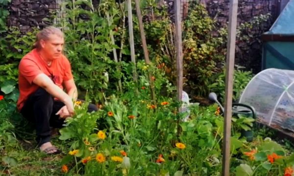 Denis a quitté la fonction publique pour vivre en autonomie dans la forêt