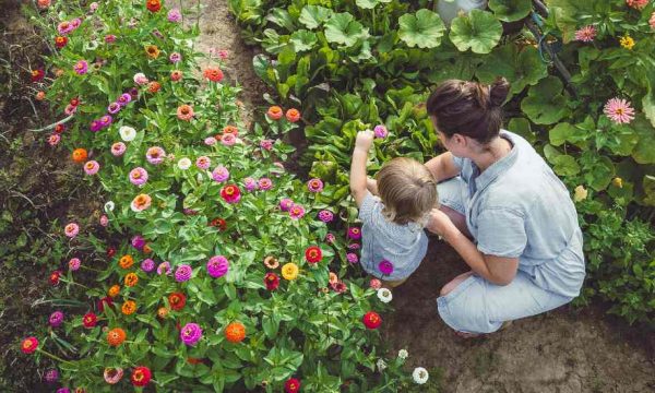 Envie de partir vivre à la campagne, mais la réalité est-elle à la hauteur du rêve ?