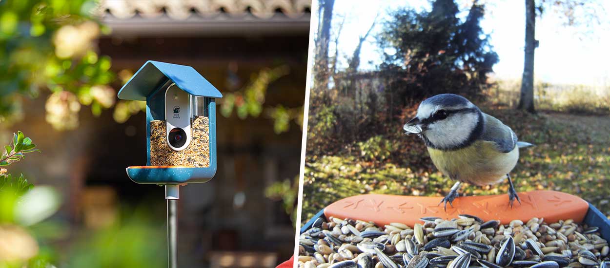 YOSOO Caméra pour mangeoire à oiseaux Caméra de Mangeoire à
