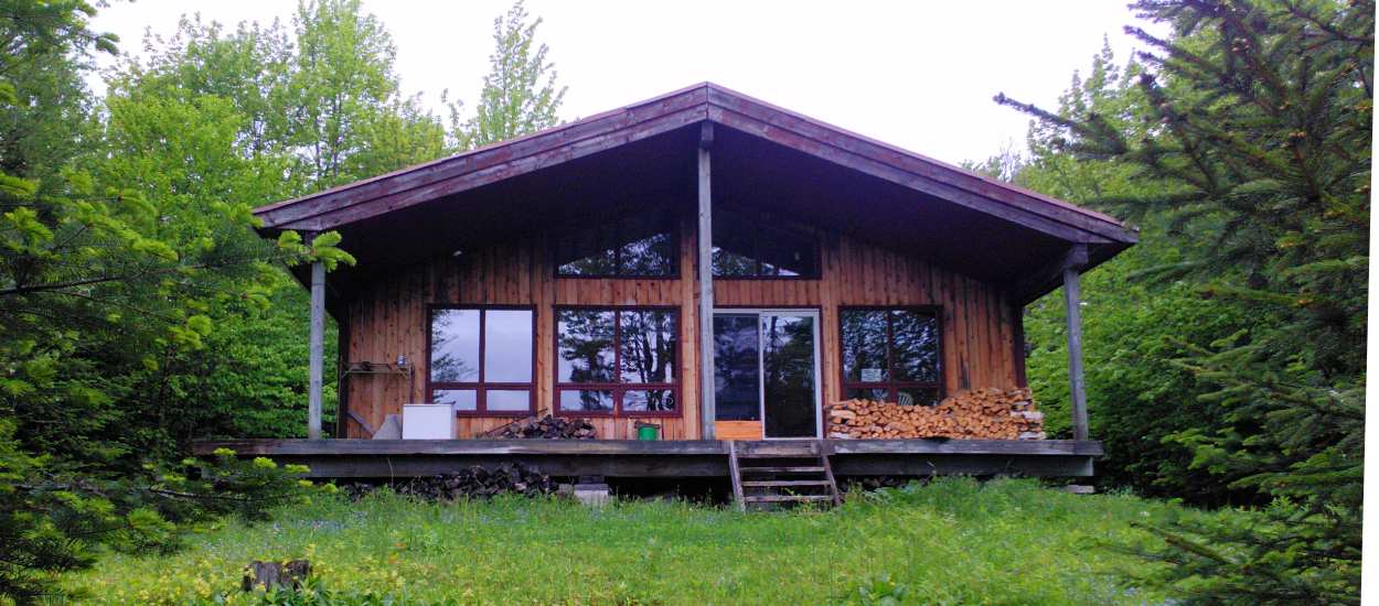 Petite Maison En Bois De Fée En Forêt Verte Par Génération Ai