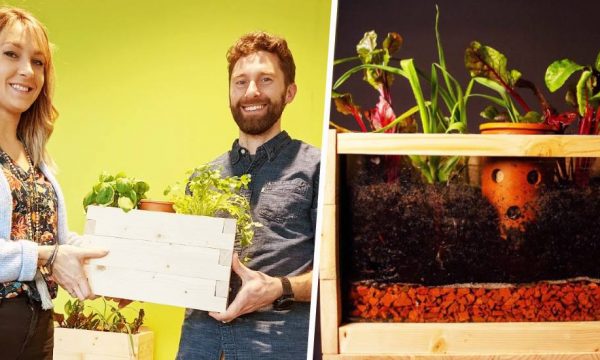 Ces jardinières intègrent un lombricomposteur pour cultiver vos légumes plus facilement