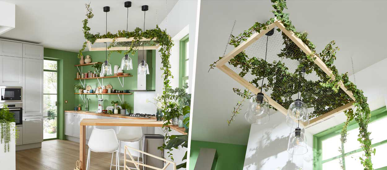 Comment accrocher une plante en suspension ? Cadre végétal au plafond