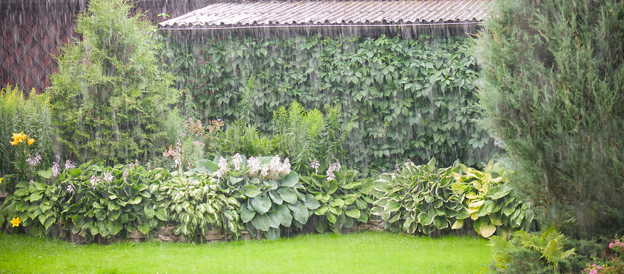 Mesurez et analysez les précipitations dans votre jardin