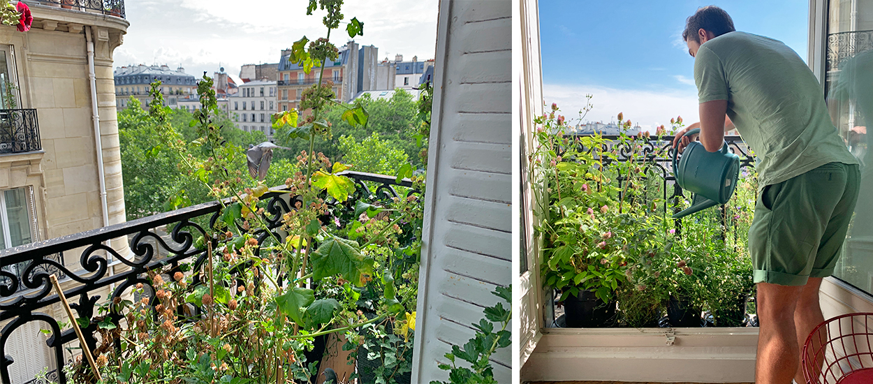 J'ai testé le balcomposteur, un composteur de balcon qui fait aussi potager  urbain