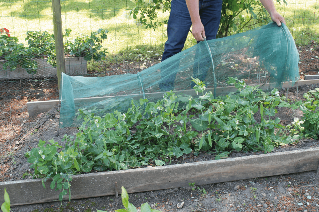 Filet de protection pour les plantations