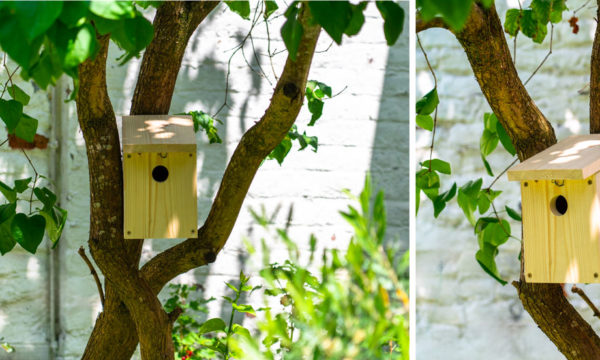 Tuto : Réalisez facilement un nichoir pour offrir un refuge aux oiseaux