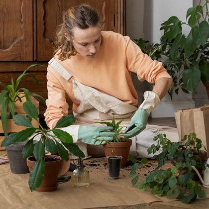 Comment se débarrasser des bêtes d'orage qui envahissent vos plantes ?