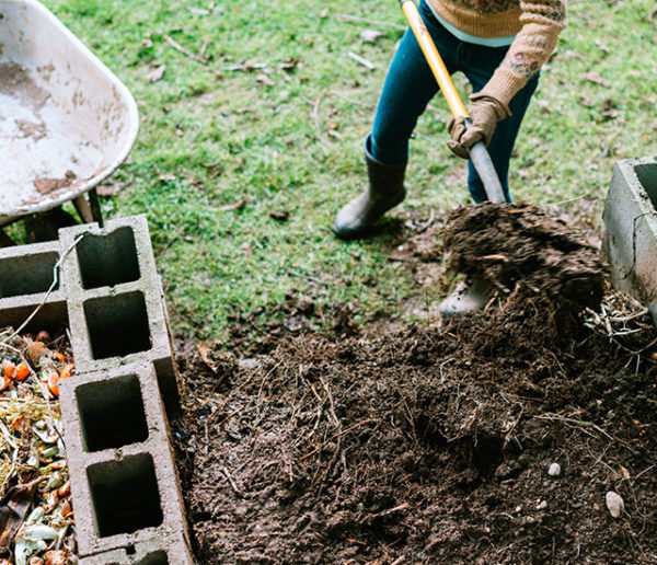 cultiver-son-potager