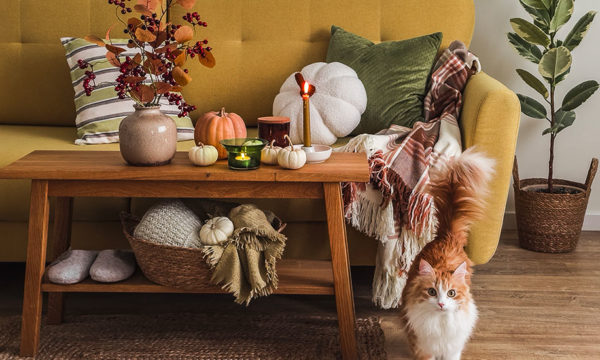 6 accessoires pour contrer le blues de l'automne à la maison