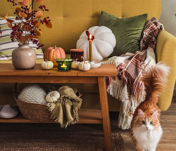 6 accessoires pour contrer le blues de l'automne à la maison