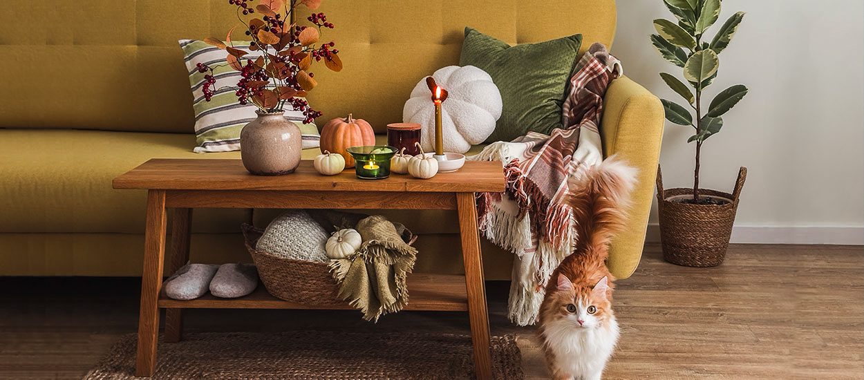 6 accessoires pour contrer le blues de l'automne à la maison