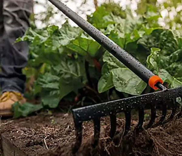 Entretenir son jardin en automne : Outils, astuces et préparation