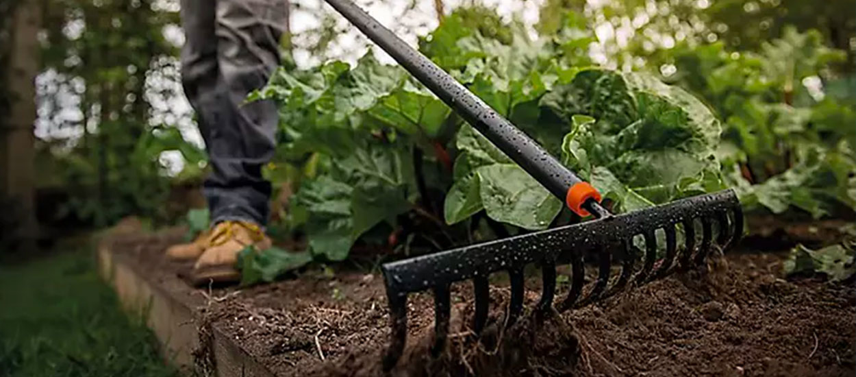 Entretenir son jardin en automne : Outils, astuces et préparation