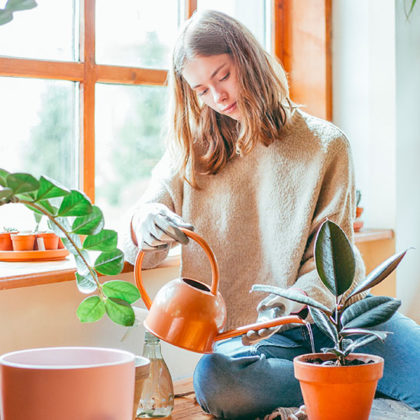 5 plantes d'intérieur faciles à entretenir en automne