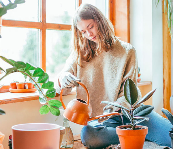 prendre-soin-de-ses-plantes