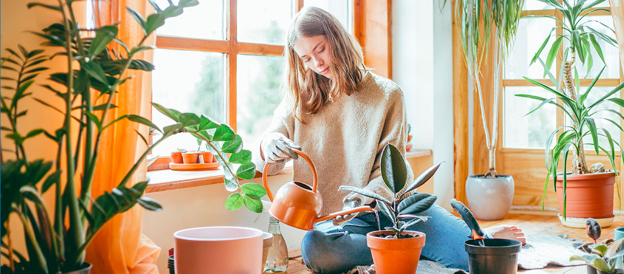 5 plantes d'intérieur faciles à entretenir en automne