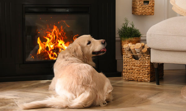 Comment bien entretenir et préparer sa cheminée avant l'arrivée du froid