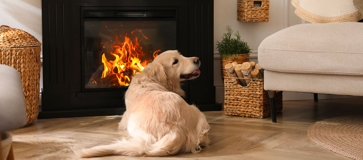 Comment bien entretenir et préparer sa cheminée avant l'arrivée du froid