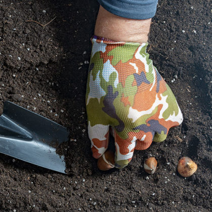 C'est le moment de planter les bulbes pour un jardin fleuri au printemps !