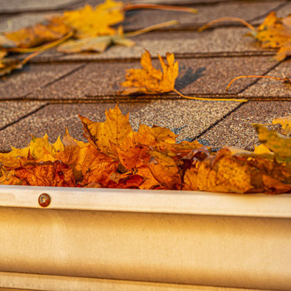 Cette astuce empêche les feuilles mortes de tomber dans les gouttières